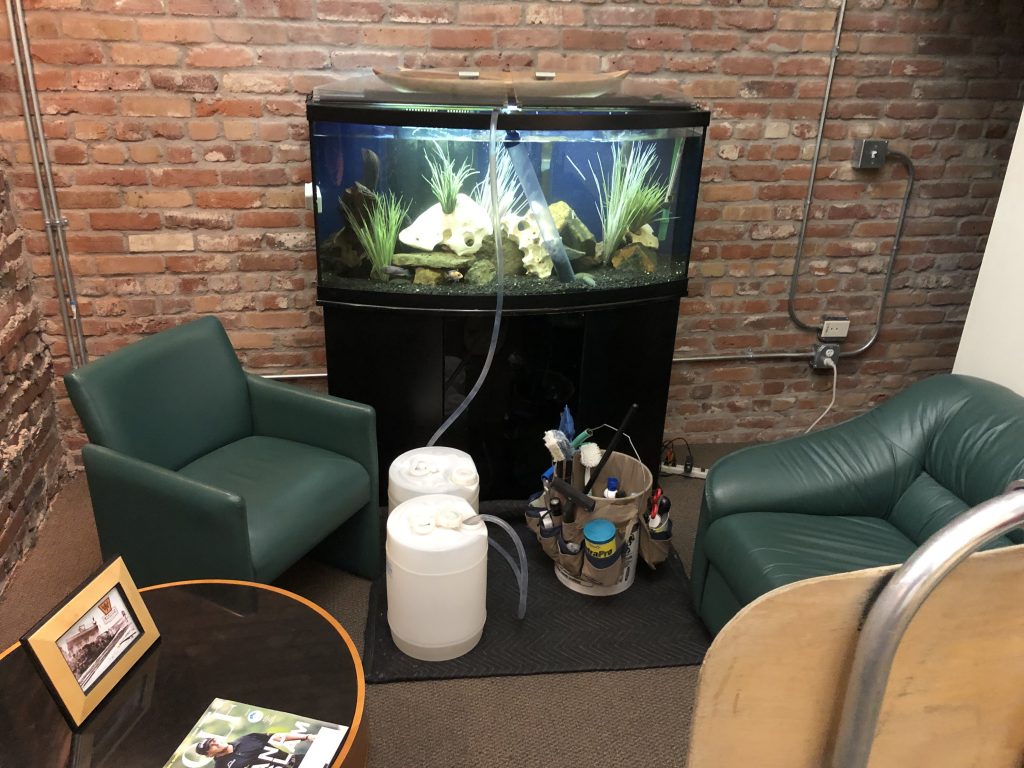 Aquarium consulting service