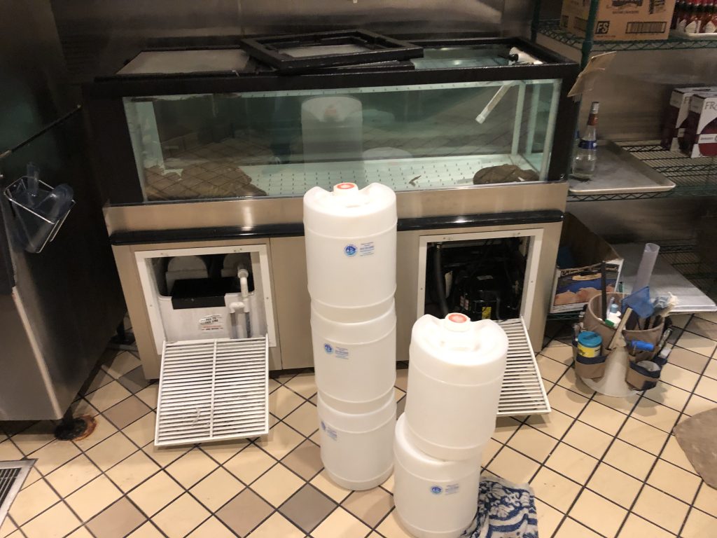Aquarium maintenance service