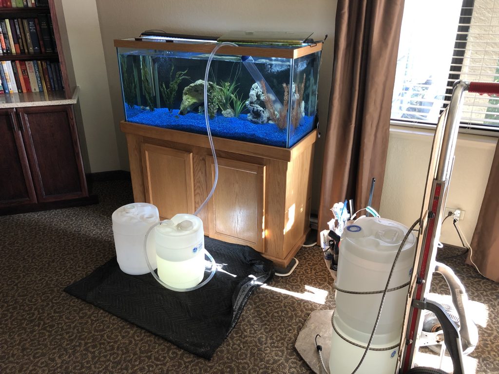Aquarium & Fish Tank Cleaning in Denver CO All Seas Aquarium Service