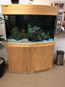 Aquarium in an office